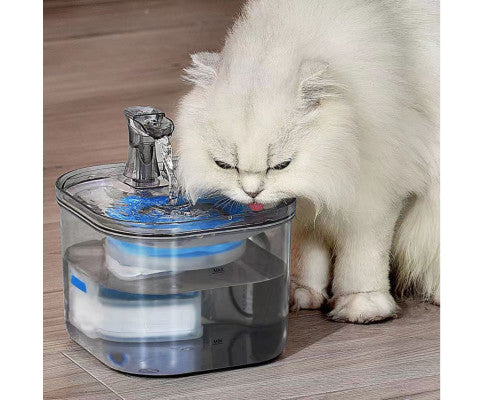 FLOOFI 2L Pet Water Fountain for Cats and Small Dogs