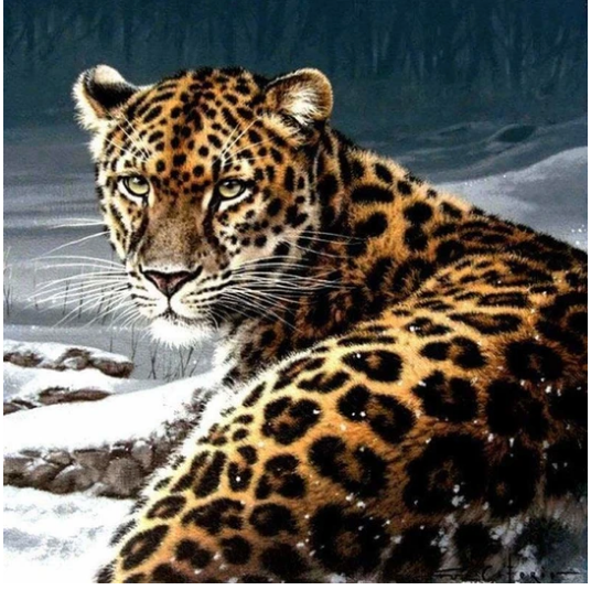 Mnp Dotz Diamond Painting Kit Leopard