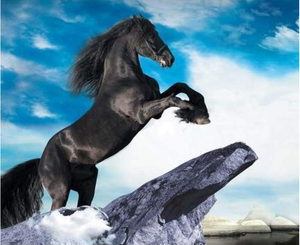 Mnp Dotz Diamond Painting MODERN ART ANIMAL BLACK HORSE PATTERN