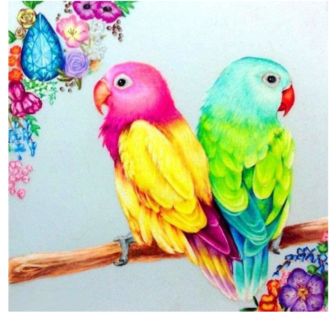 SPECIAL VISIONAL CUTE LOVING PARROTS 60x60