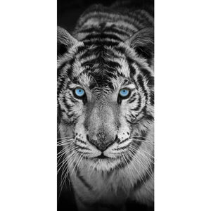 BLACK AND WHITE TIGER BLUE EYES